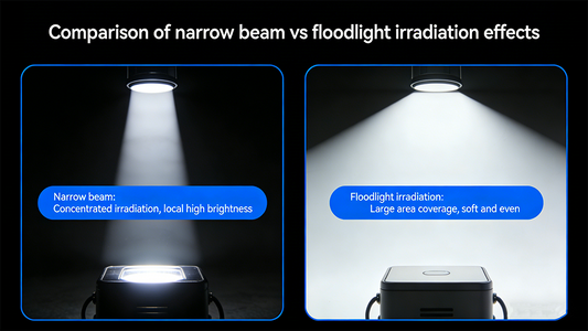Flood vs Spot Dive Light: Which Is Better?