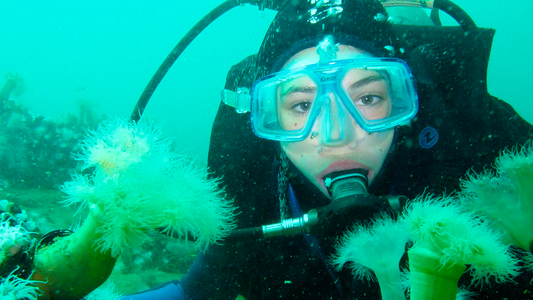 Can You Use a Dive Light for Underwater Photography?