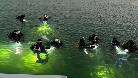 Are Dive Lights Required for Night Diving? (Official Safety Rules Explained Simply)