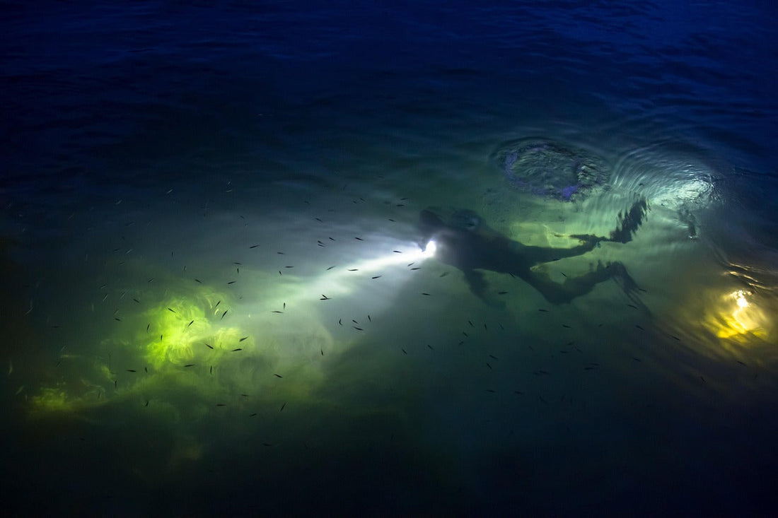 The Complete Dive Light Maintenance Guide: Why Most Dive Lights Don’t Fail — They’re Neglected