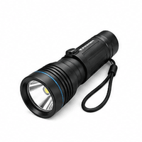 Recreational Dive Lights