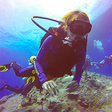 DIVEBEAM