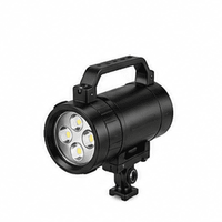 Industrial Diving Lights