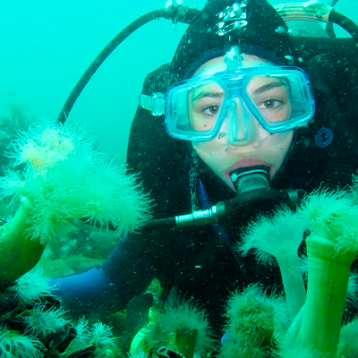 DIVEBEAM
